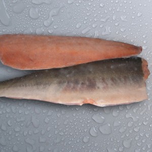 FileteSalmon