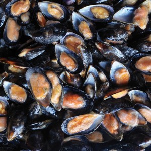 MejillonChileMediaConcha